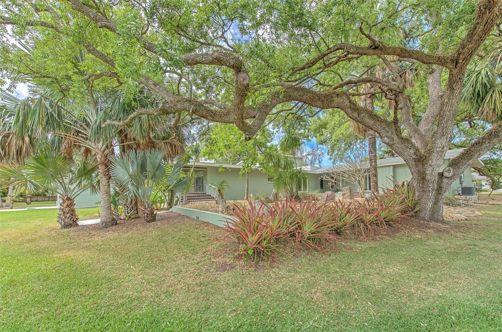 7102 MANDY LN, NEW PORT RICHEY, FL — photo 42