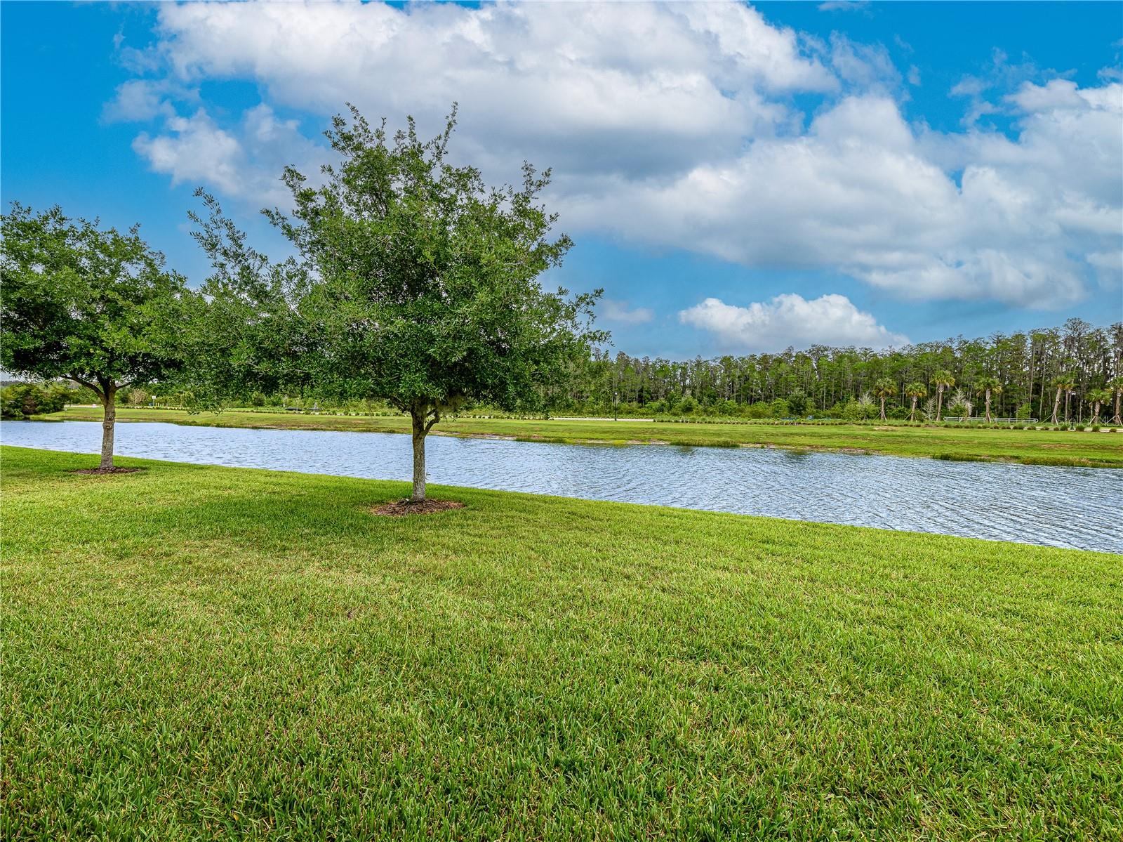 4521 BARLETTA CT, WESLEY CHAPEL, FL — photo 34