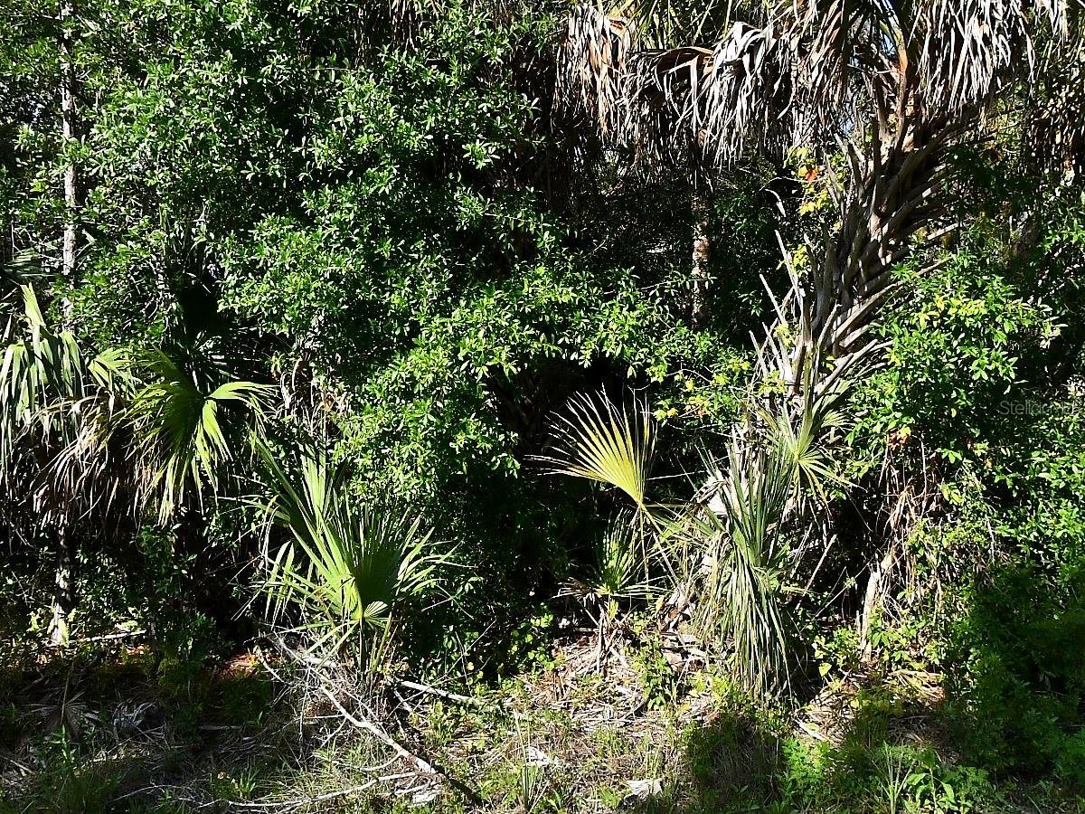 MONTCALM AVE, NORTH PORT, FL — photo 5
