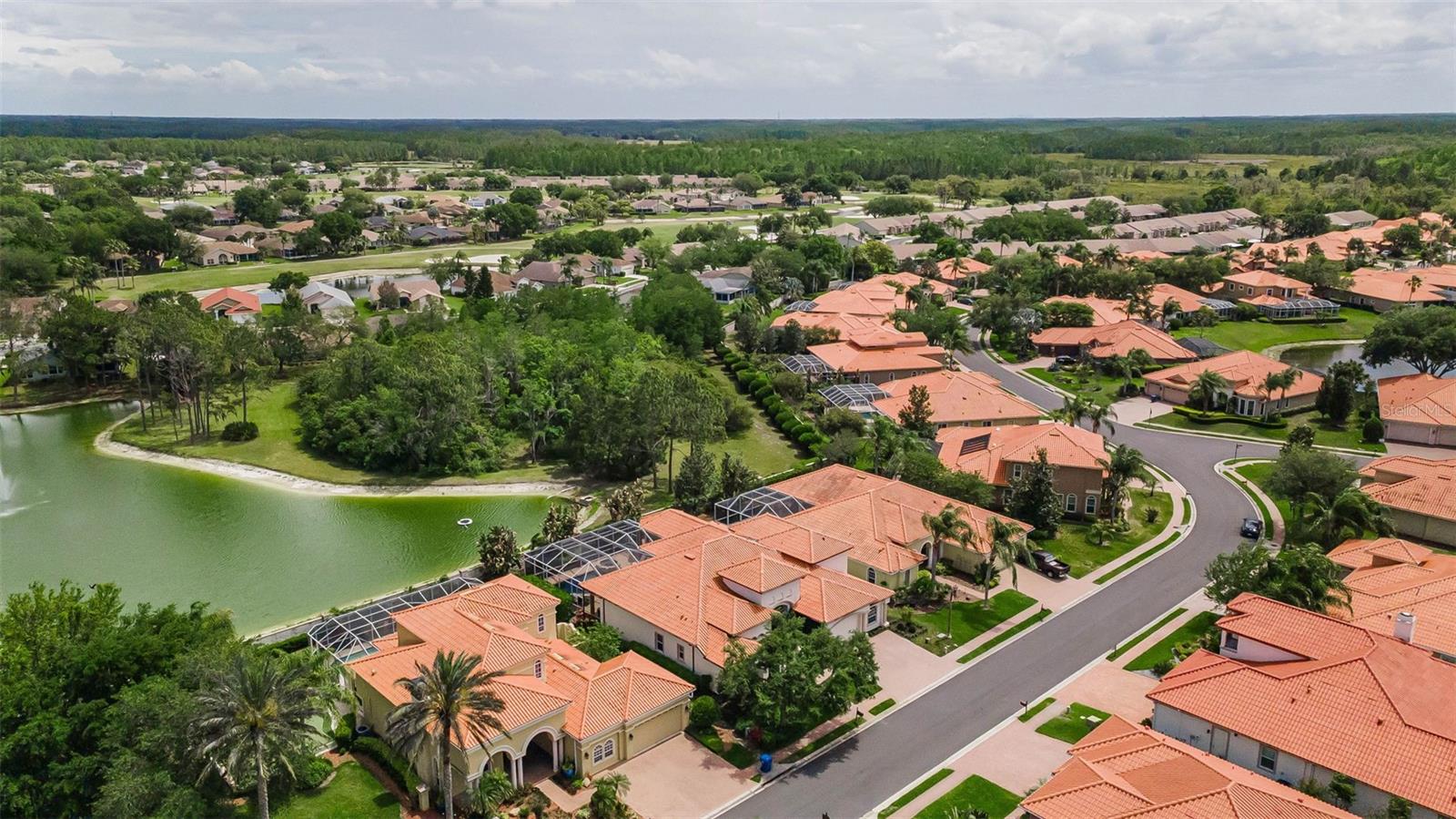 1246 TUSCANY DR, TRINITY, FL — photo 8