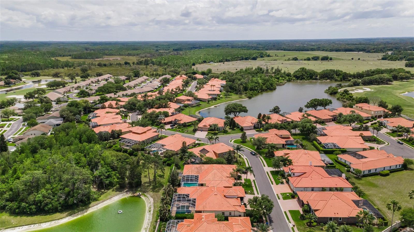 1246 TUSCANY DR, TRINITY, FL — photo 81