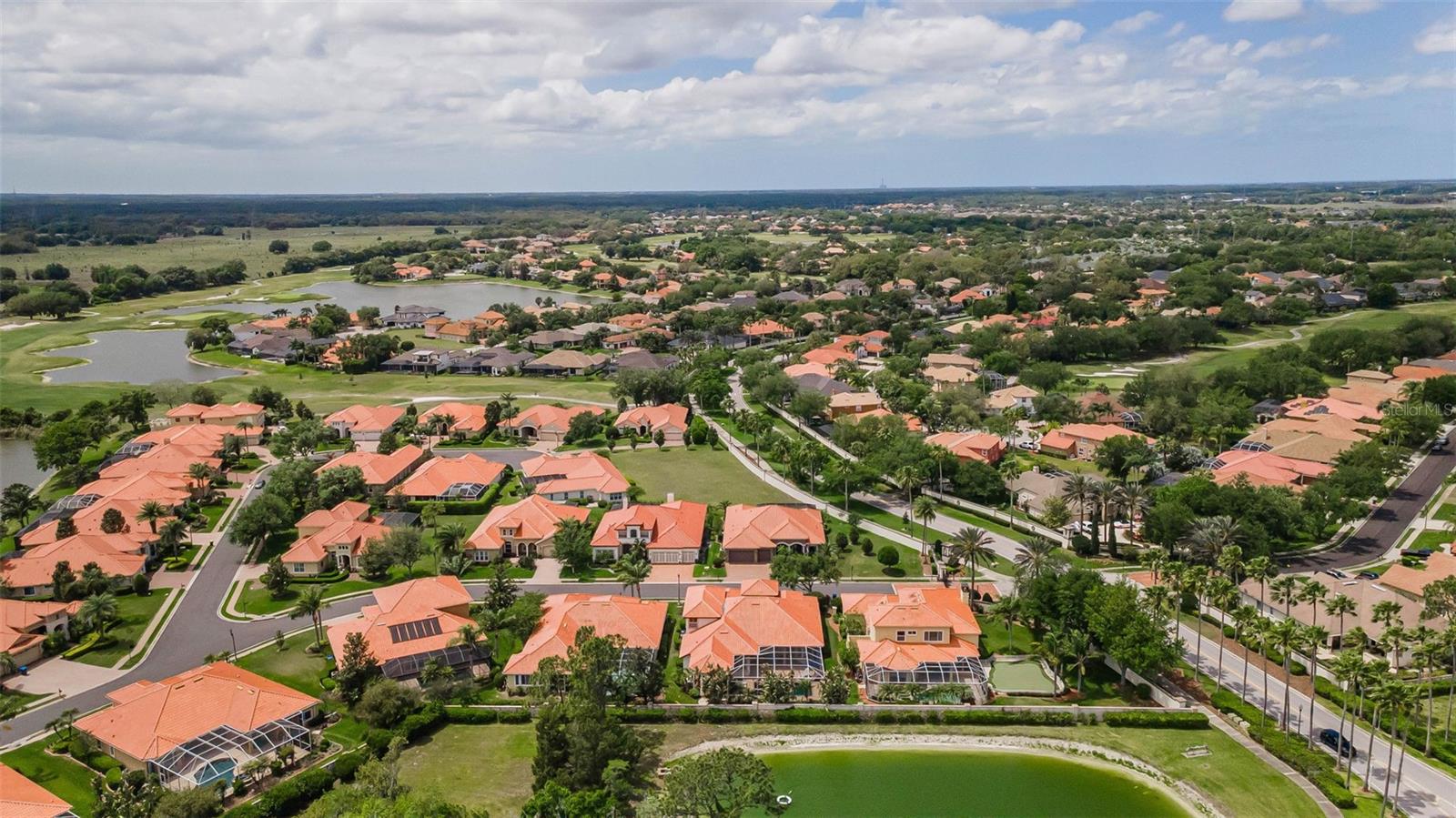 1246 TUSCANY DR, TRINITY, FL — photo 88