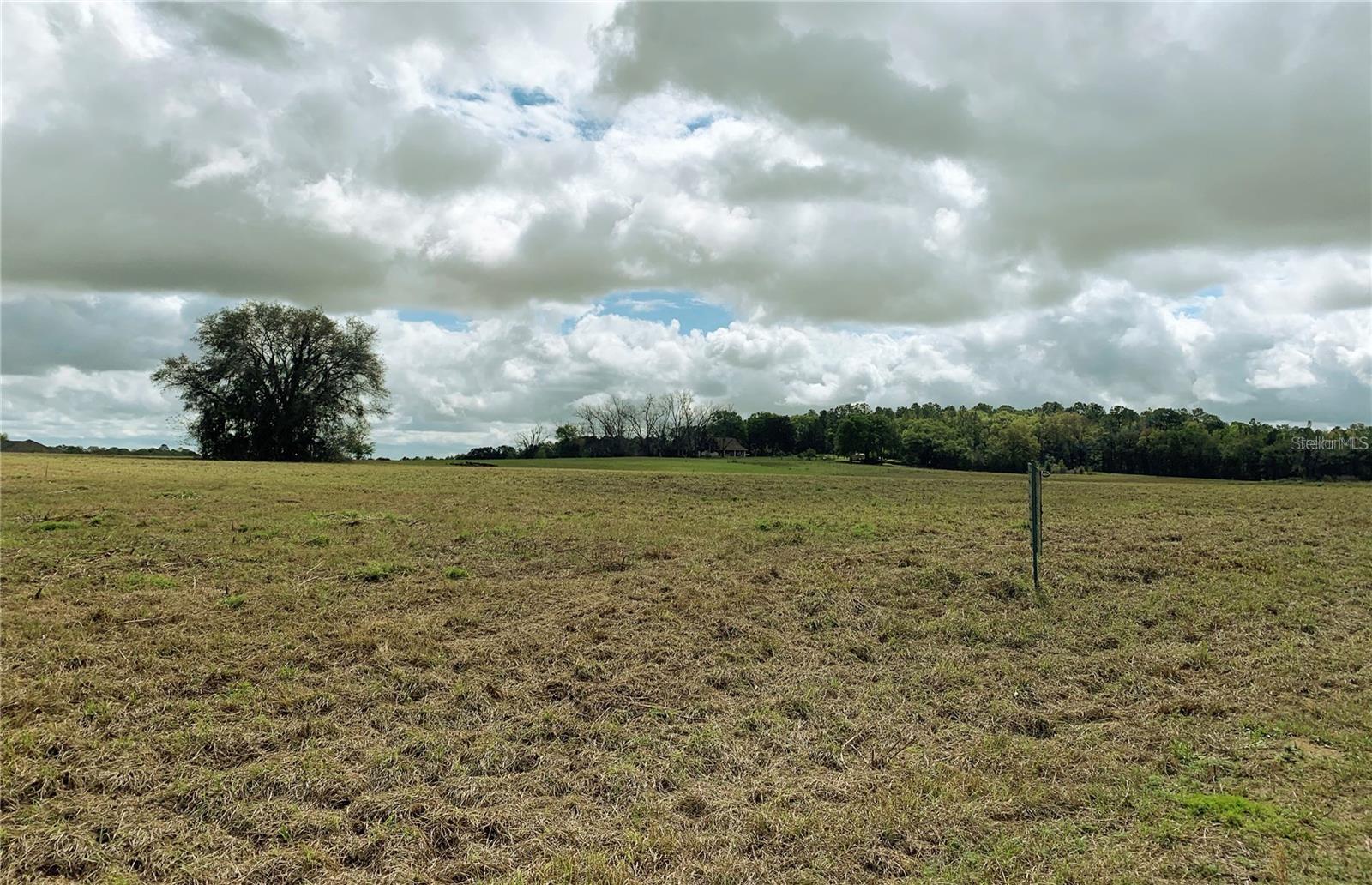 21635 SW 10TH ST, DUNNELLON, FL — photo 5