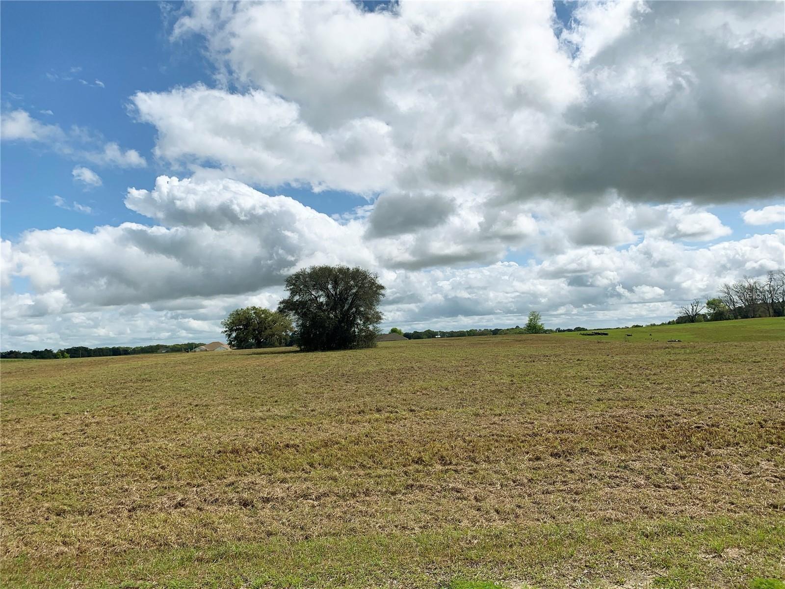 21635 SW 10TH ST, DUNNELLON, FL — photo 15