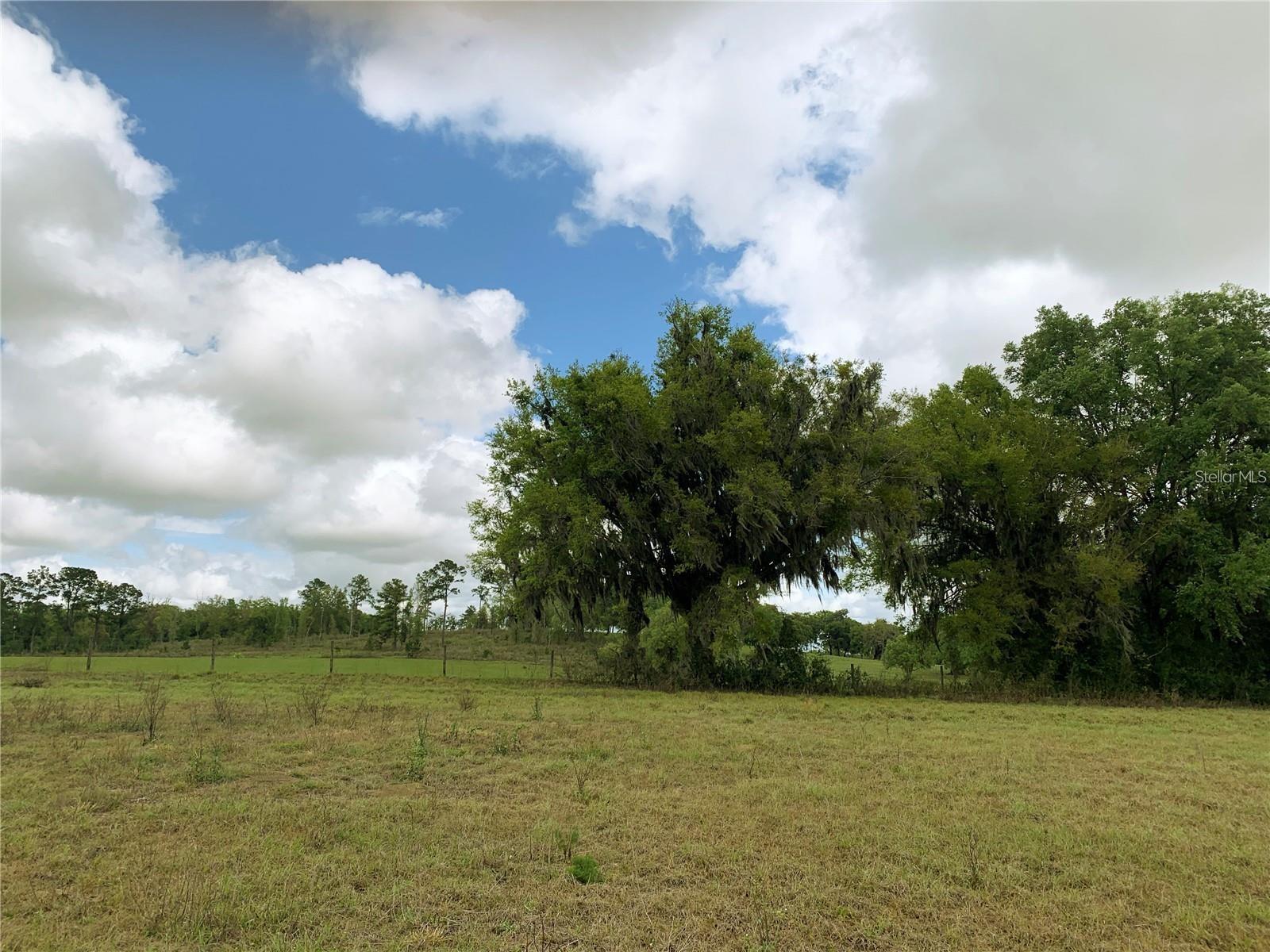 21635 SW 10TH ST, DUNNELLON, FL — photo 23