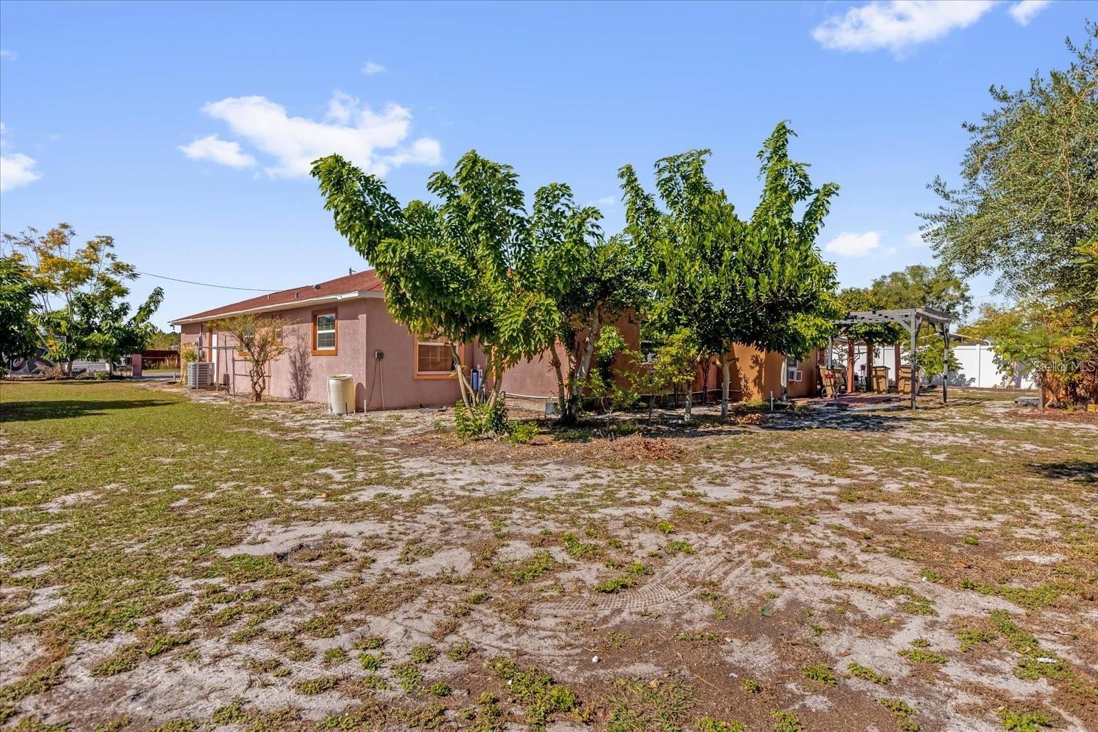 910 W RICH DR, MOUNT DORA, FL — photo 54
