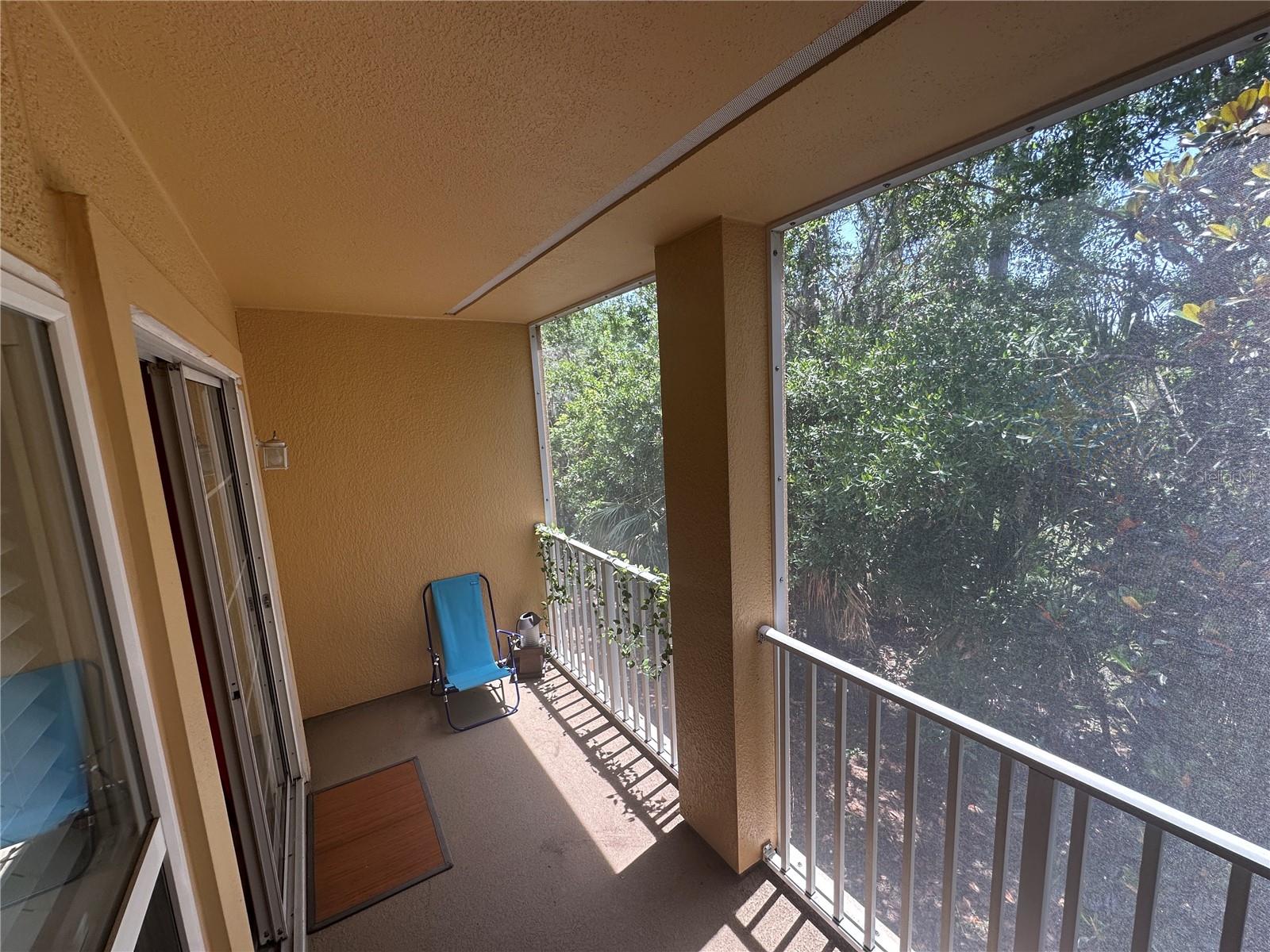 8809 WHITE SAGE LOOP, LAKEWOOD RANCH, FL — photo 13