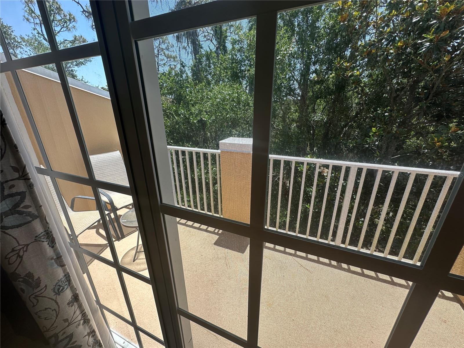 8809 WHITE SAGE LOOP, LAKEWOOD RANCH, FL — photo 19