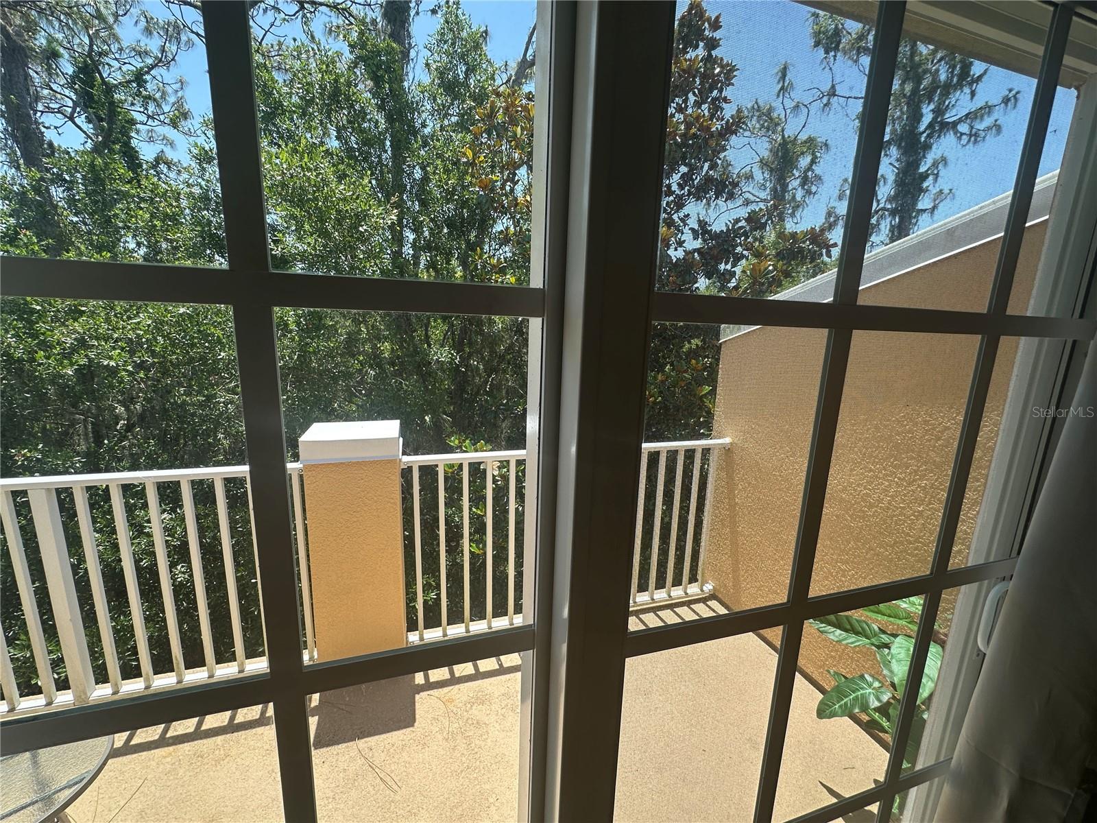8809 WHITE SAGE LOOP, LAKEWOOD RANCH, FL — photo 20