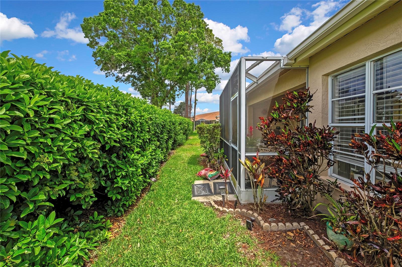 6447 PINE WALK DR, NEW PORT RICHEY, FL — photo 20