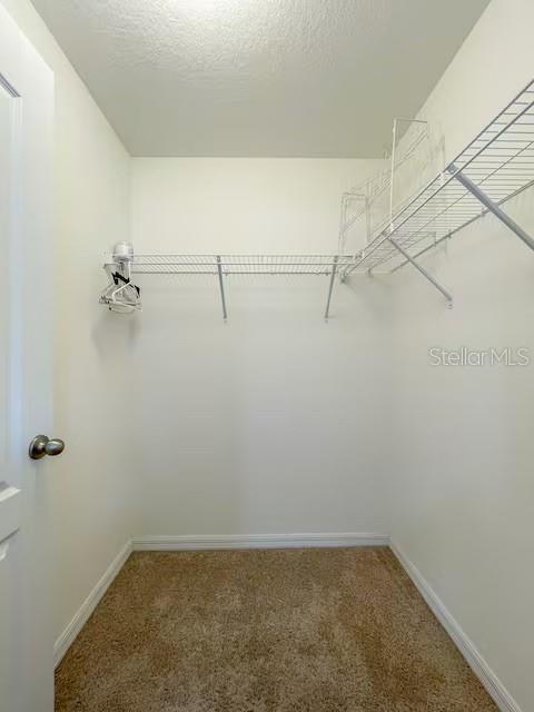 10108 HAWK STORM AVE, TAMPA, FL — photo 19