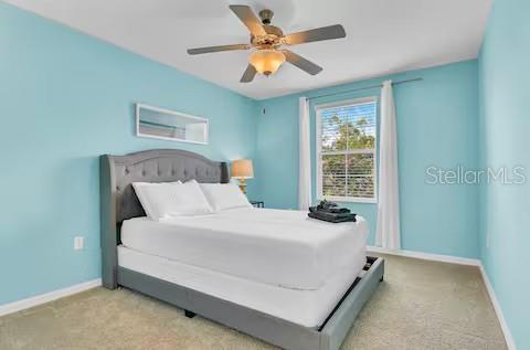 10108 HAWK STORM AVE, TAMPA, FL — photo 22