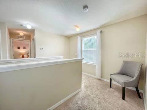 10108 HAWK STORM AVE, TAMPA, FL — photo 33