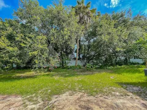 10108 HAWK STORM AVE, TAMPA, FL — photo 40