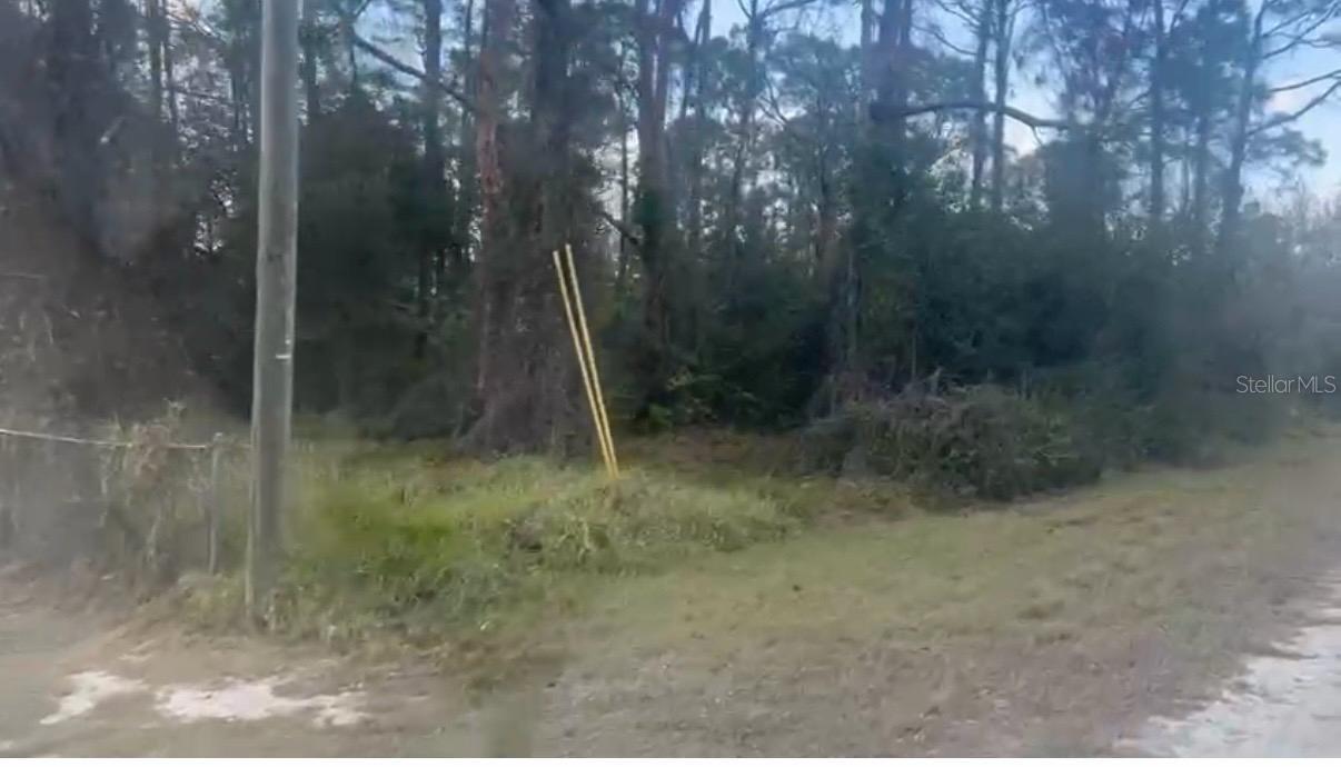 311 WILSON LN NE, LAKE PLACID, FL