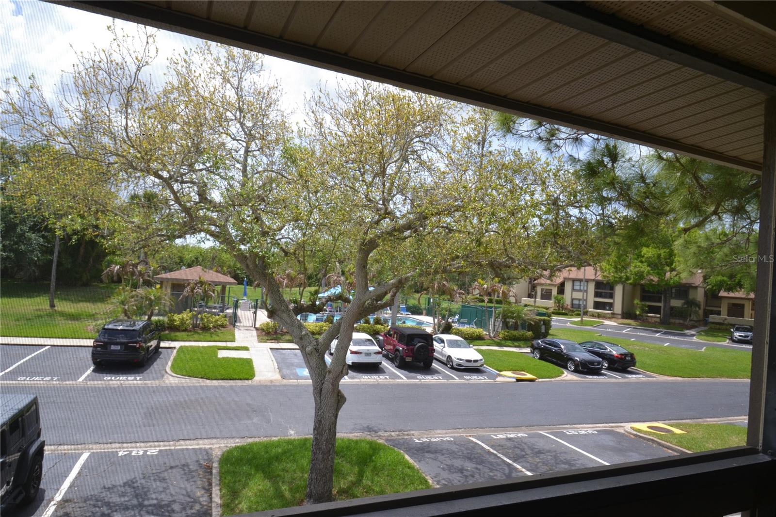 284 WOODLAKE WYNDE, OLDSMAR, FL — photo 9