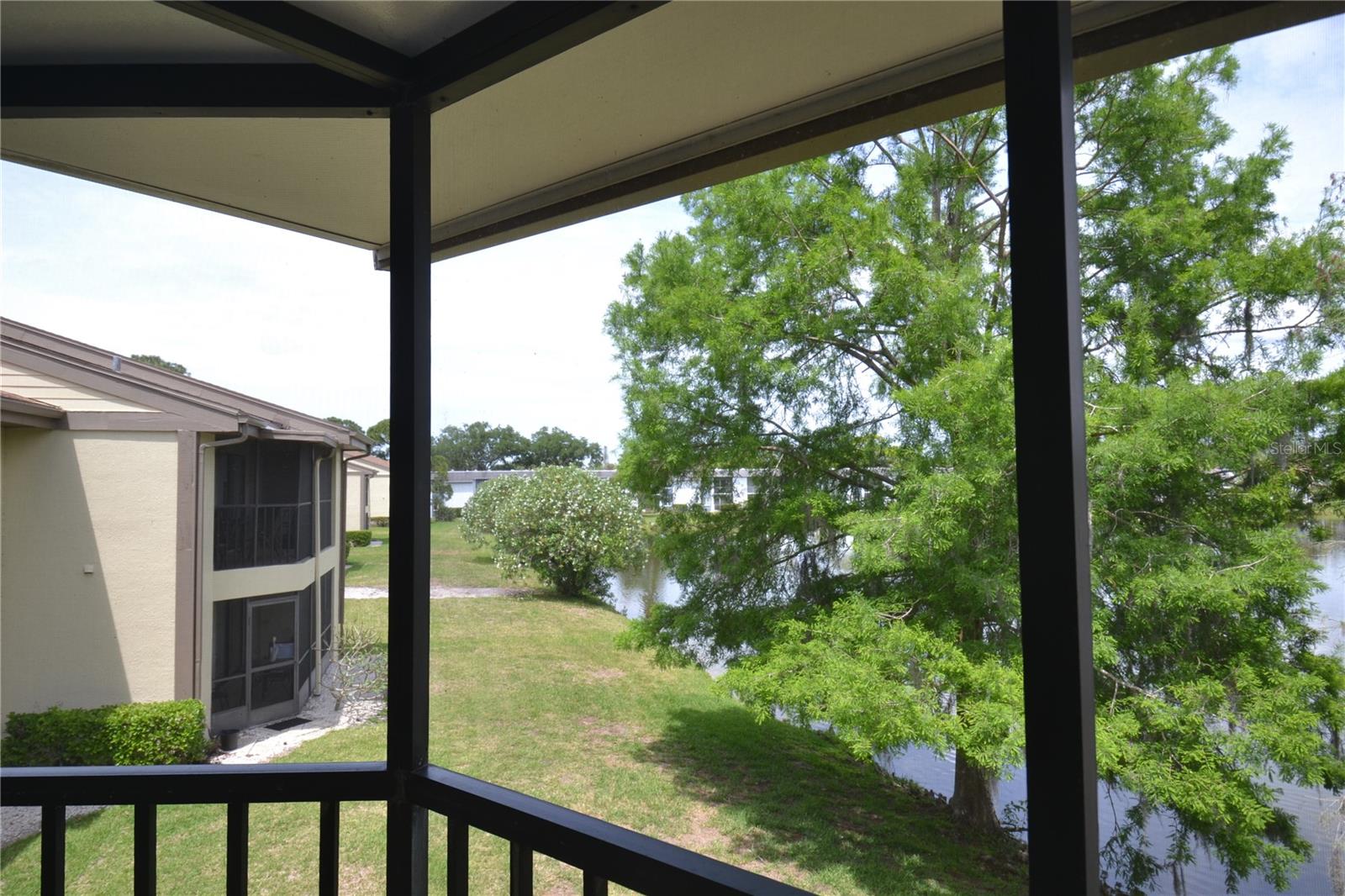 284 WOODLAKE WYNDE, OLDSMAR, FL — photo 19