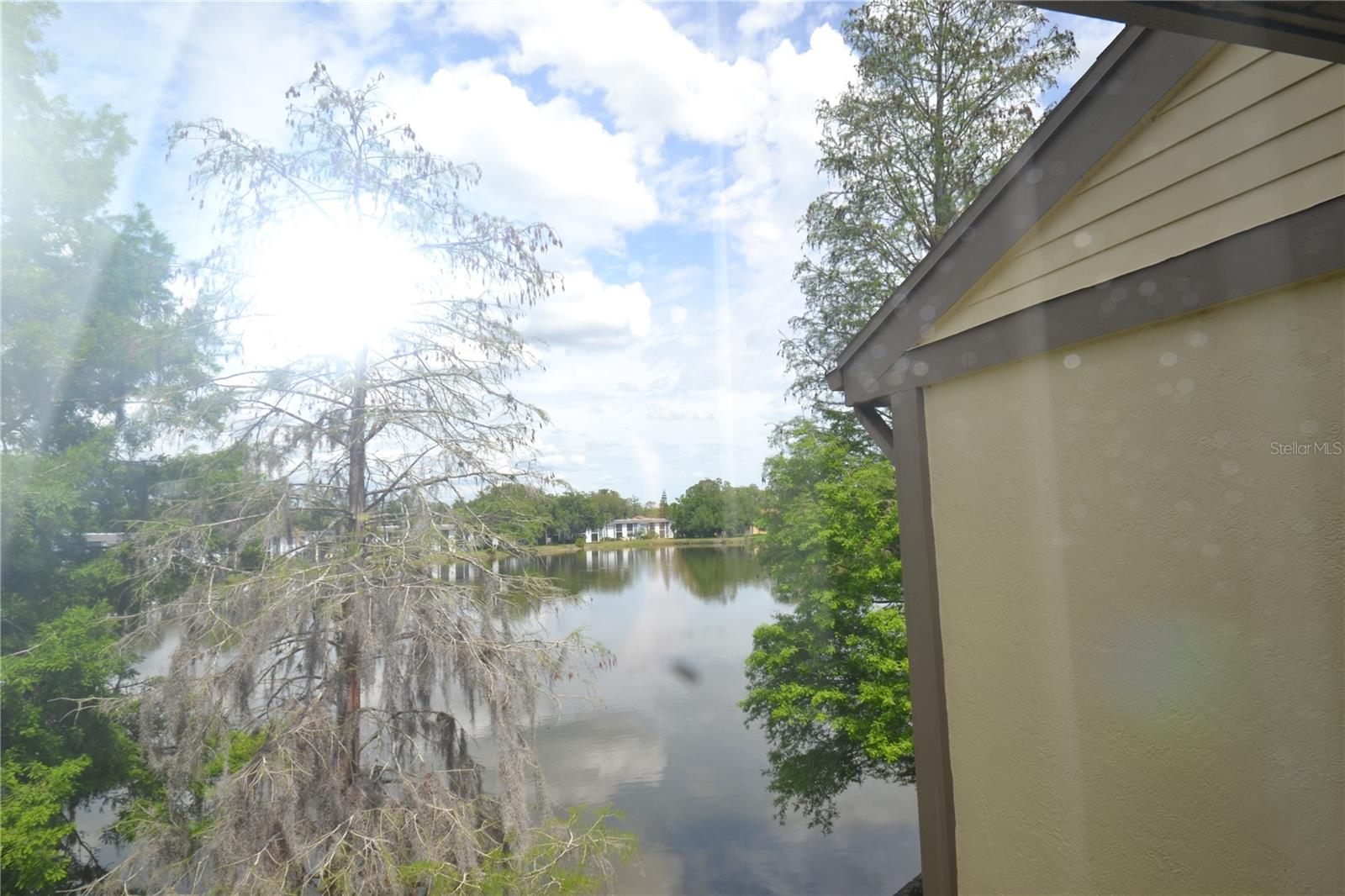 284 WOODLAKE WYNDE, OLDSMAR, FL — photo 32