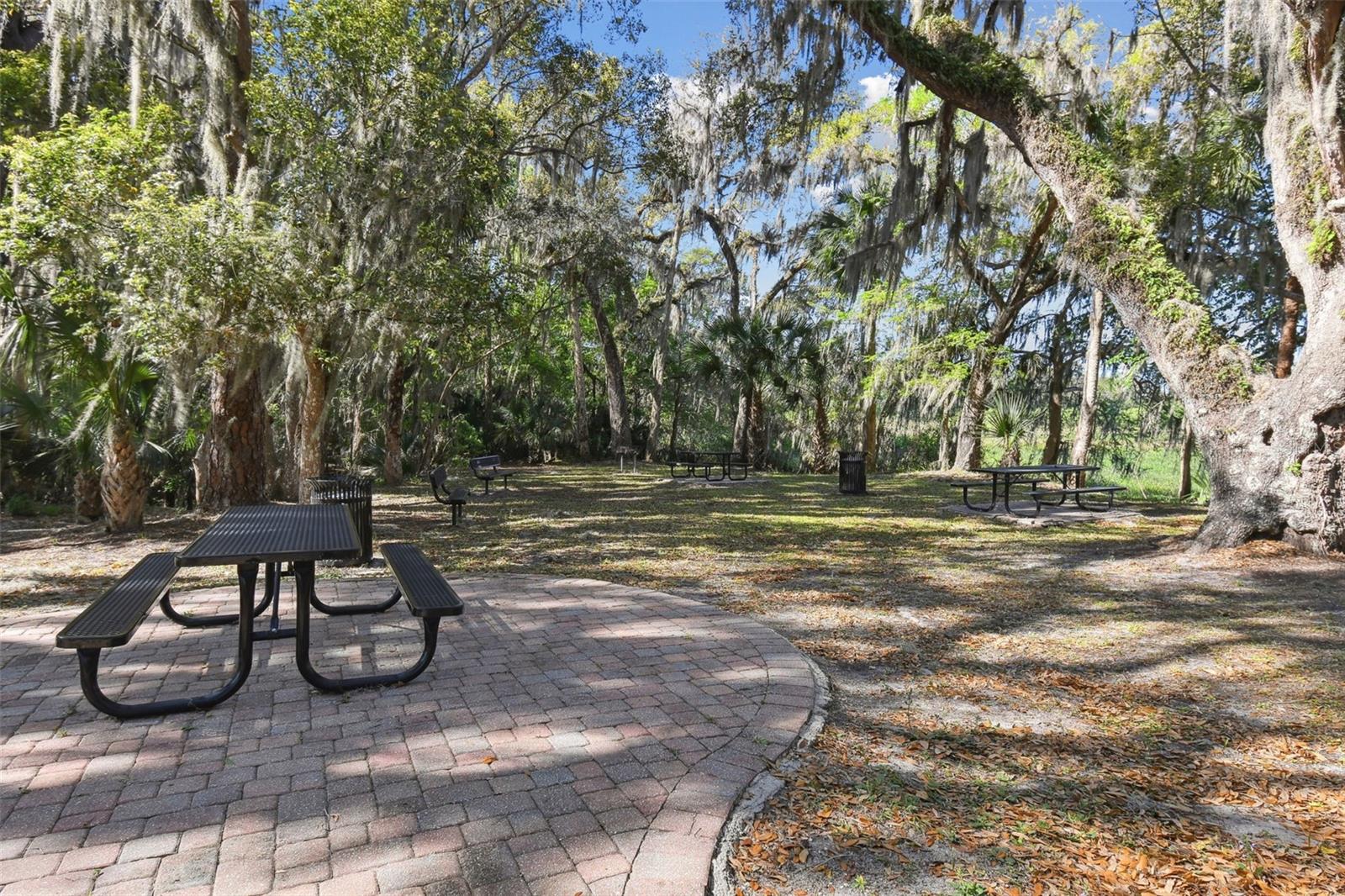 727 LAZIO CIR, DEBARY, FL — photo 63