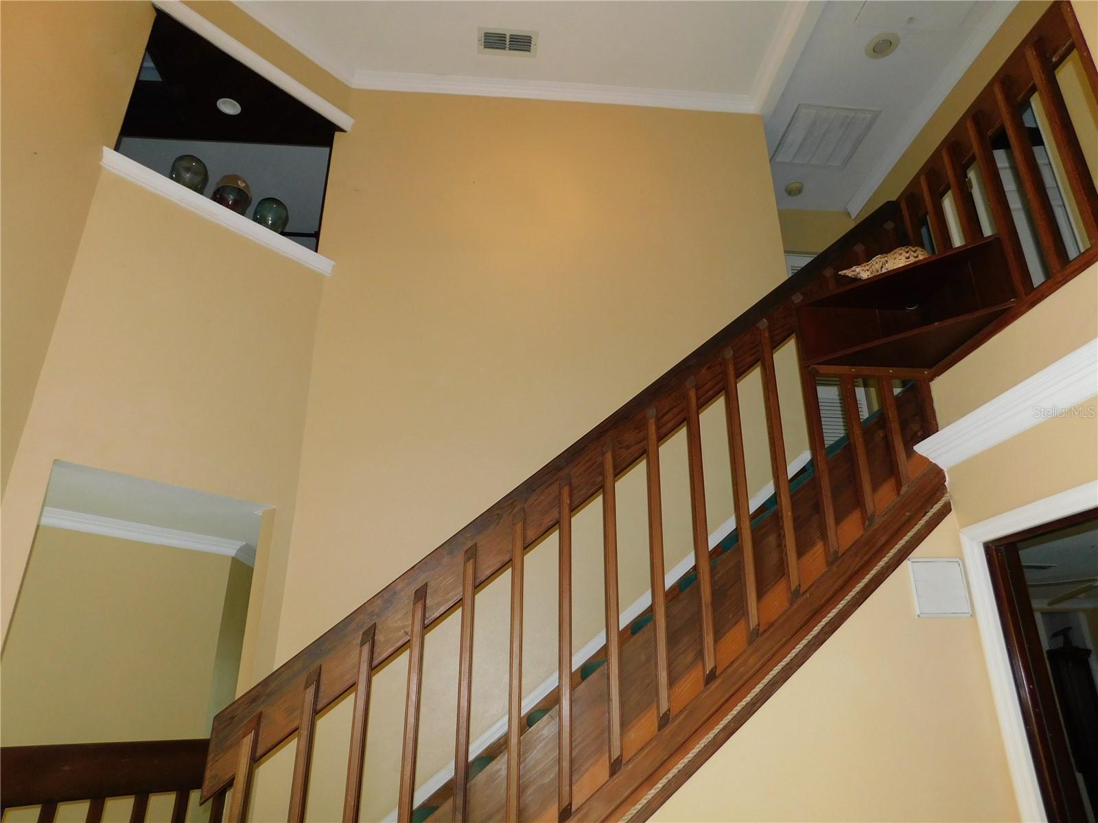 155 MARSHALL ST, SAFETY HARBOR, FL — photo 31