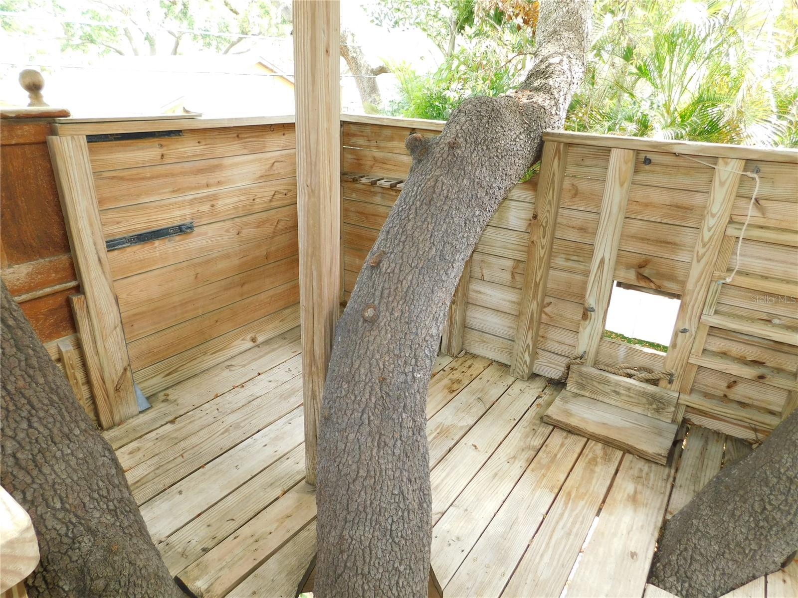 155 MARSHALL ST, SAFETY HARBOR, FL — photo 44