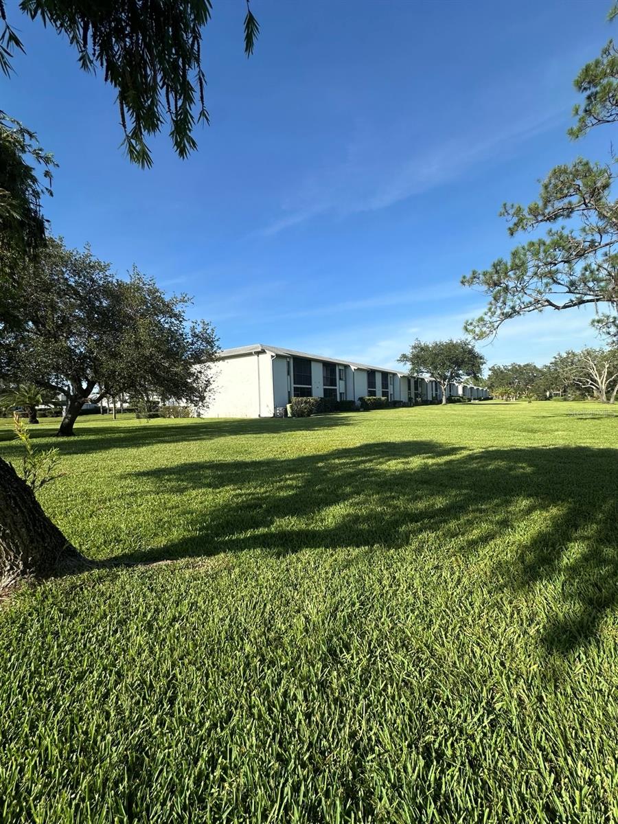 112 CYPRESS CT #112, OLDSMAR, FL — photo 12