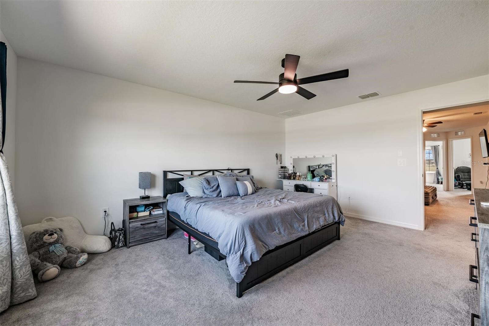 9133 BONITA MAR DR, PARRISH, FL — photo 13