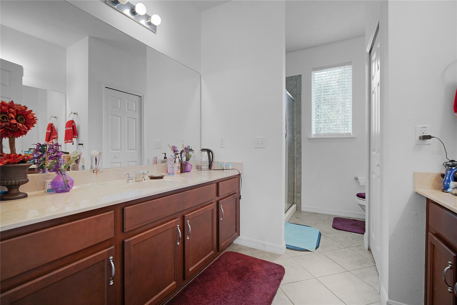 6152 GOLDEN DEWDROP TRL, WINDERMERE, FL — photo 65