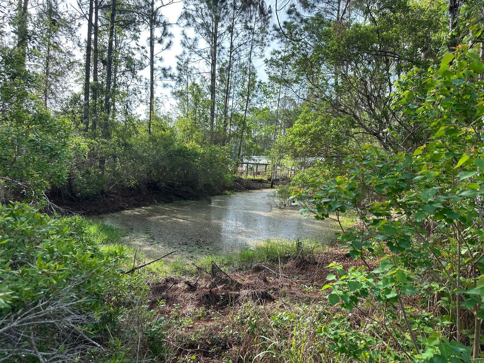1583 BEECH BLVD, BUNNELL, FL — photo 4