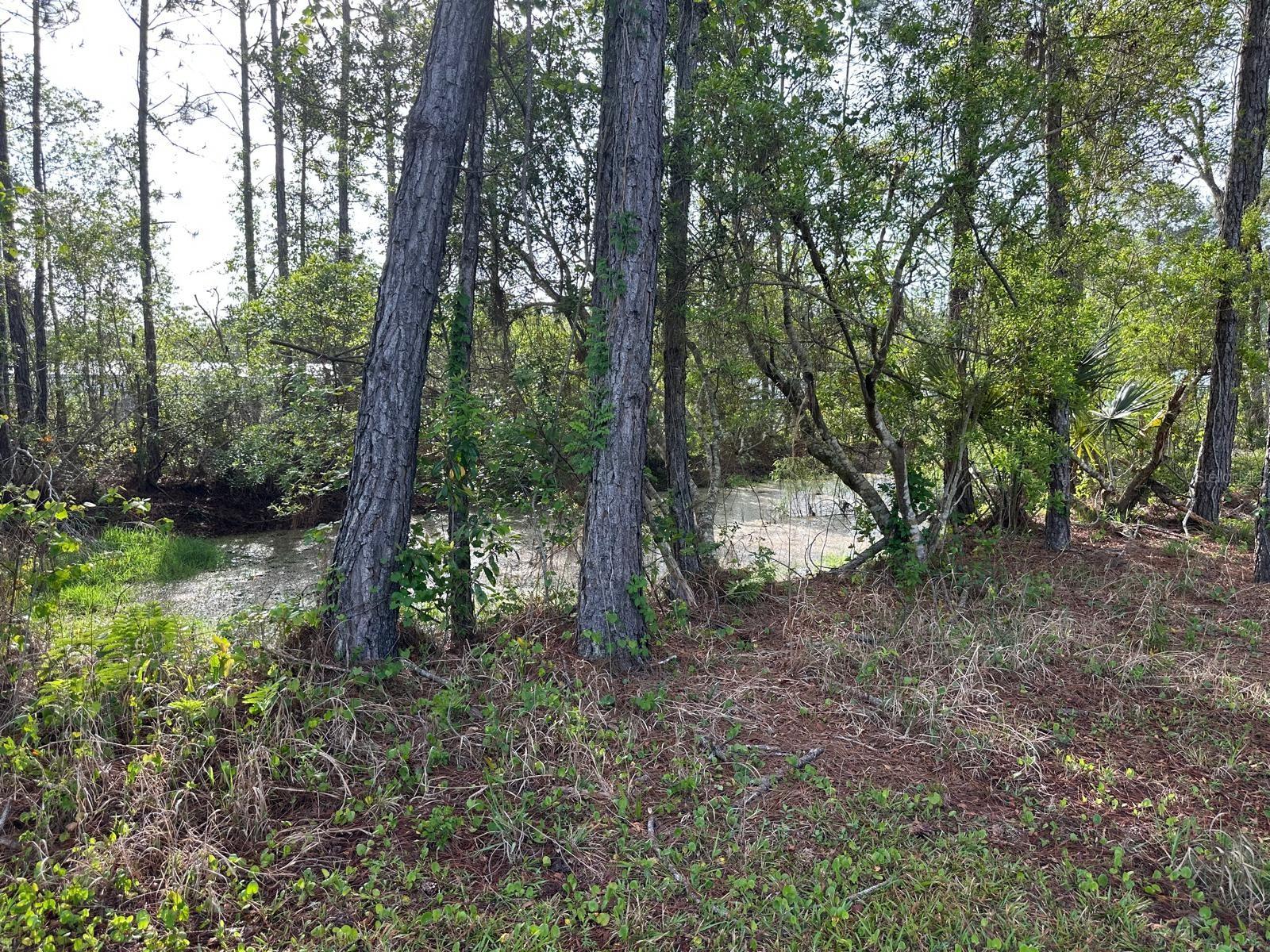 1583 BEECH BLVD, BUNNELL, FL — photo 5