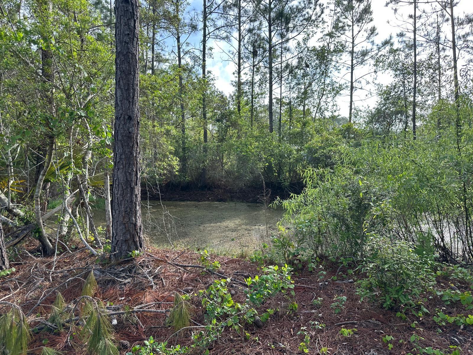 1583 BEECH BLVD, BUNNELL, FL — photo 6