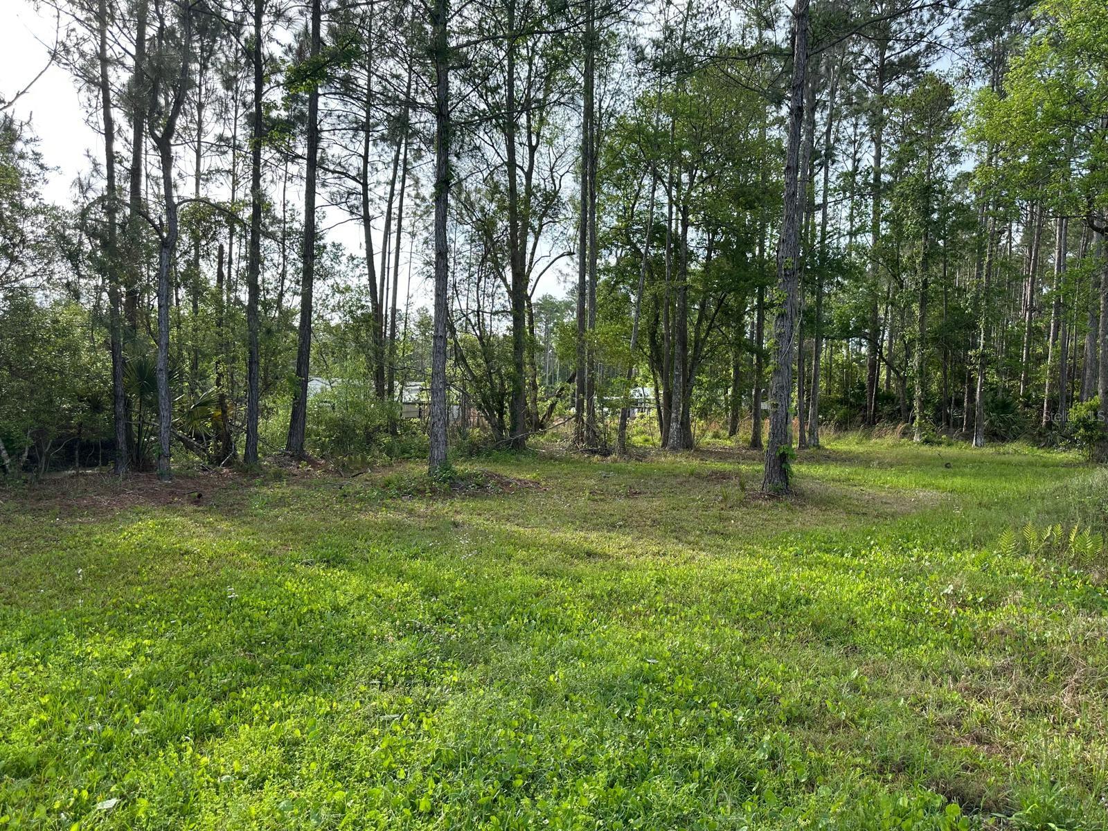 1583 BEECH BLVD, BUNNELL, FL — photo 40