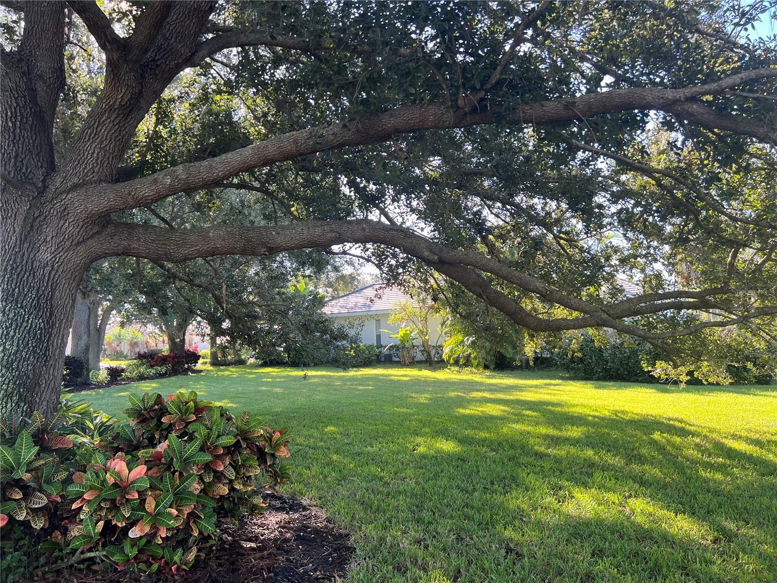 360 CEDARBROOK CT, VENICE, FL — photo 49