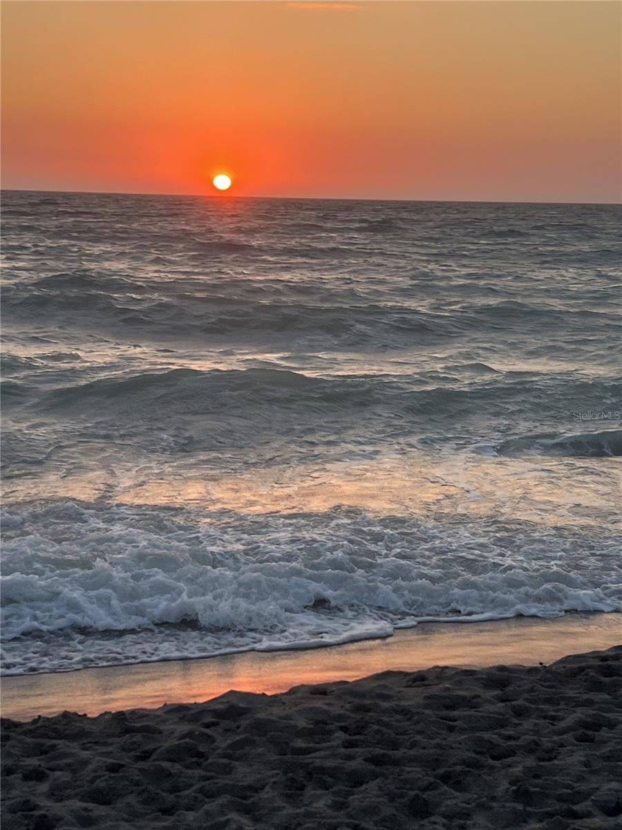 360 CEDARBROOK CT, VENICE, FL — photo 58