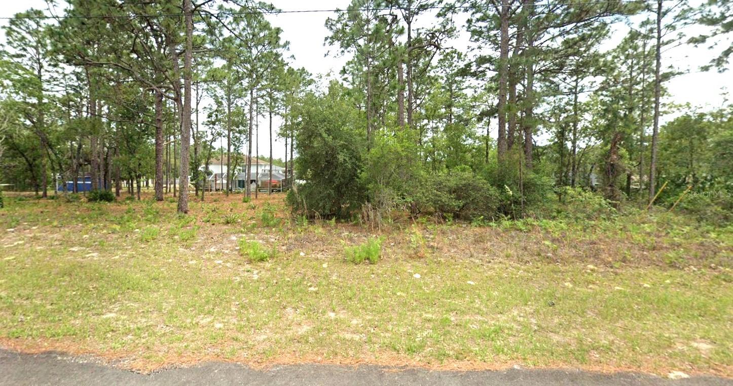 2078 W LINDEN DR, CITRUS SPRINGS, FL — photo 6