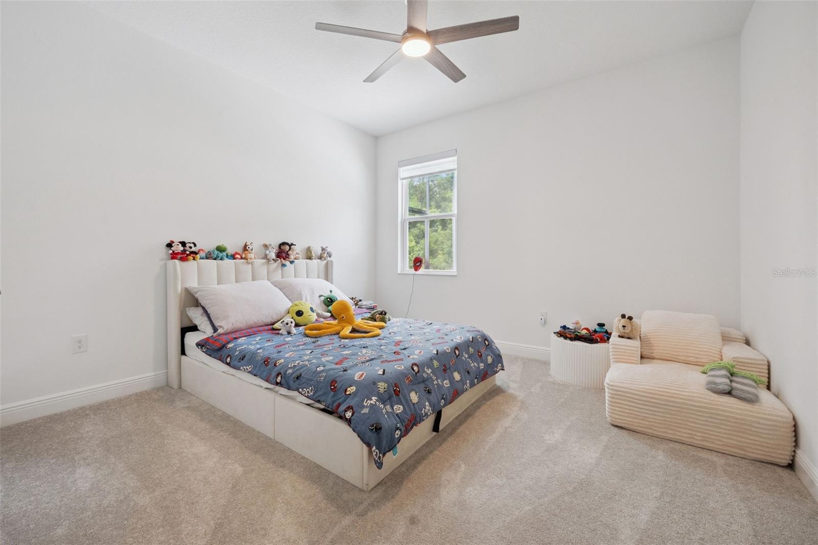 5897 SIERRA CROWN ST, MOUNT DORA, FL — photo 36