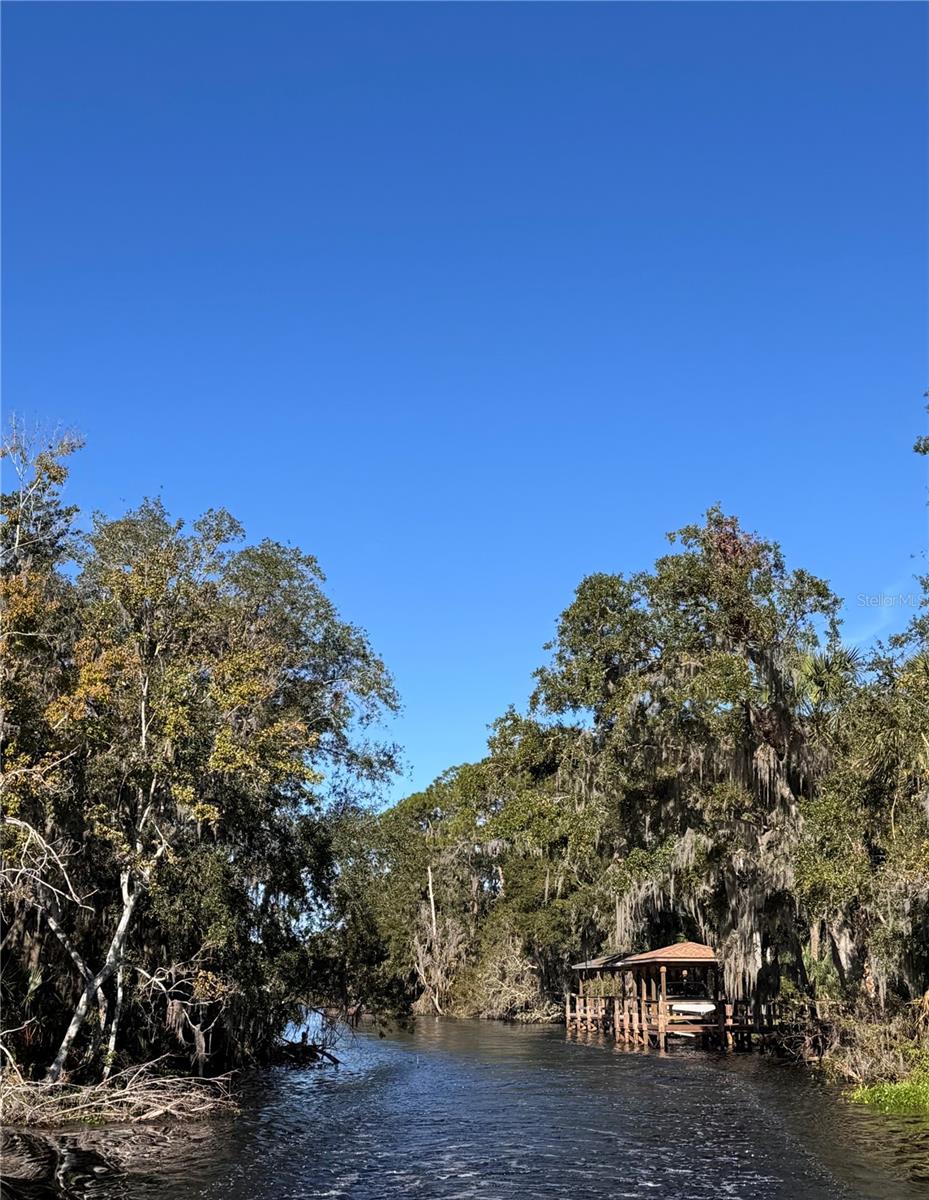 3430 LAKE DIANE RD, TAVARES, FL — photo 32