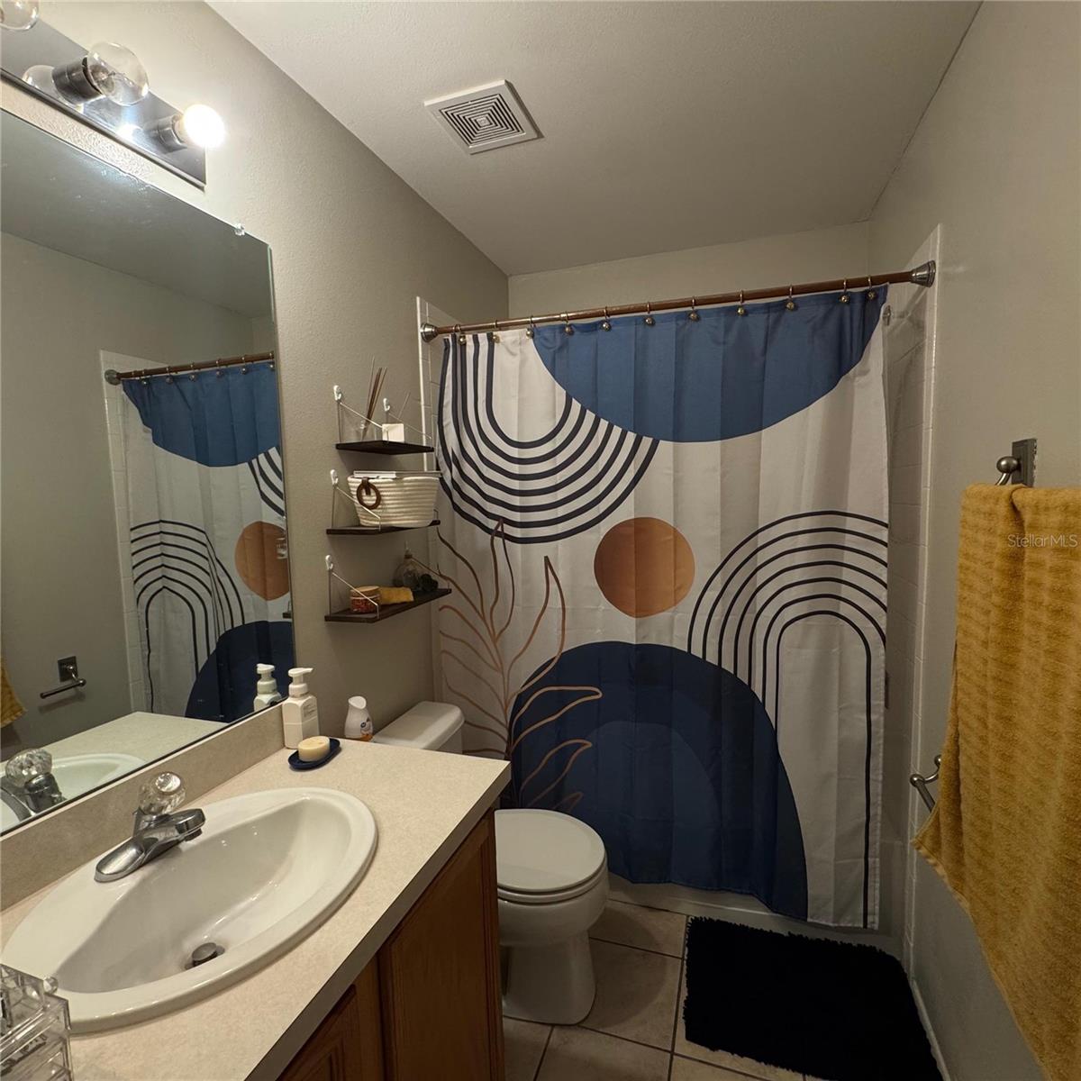 306 KENSINGTON LAKE CIR, BRANDON, FL — photo 15