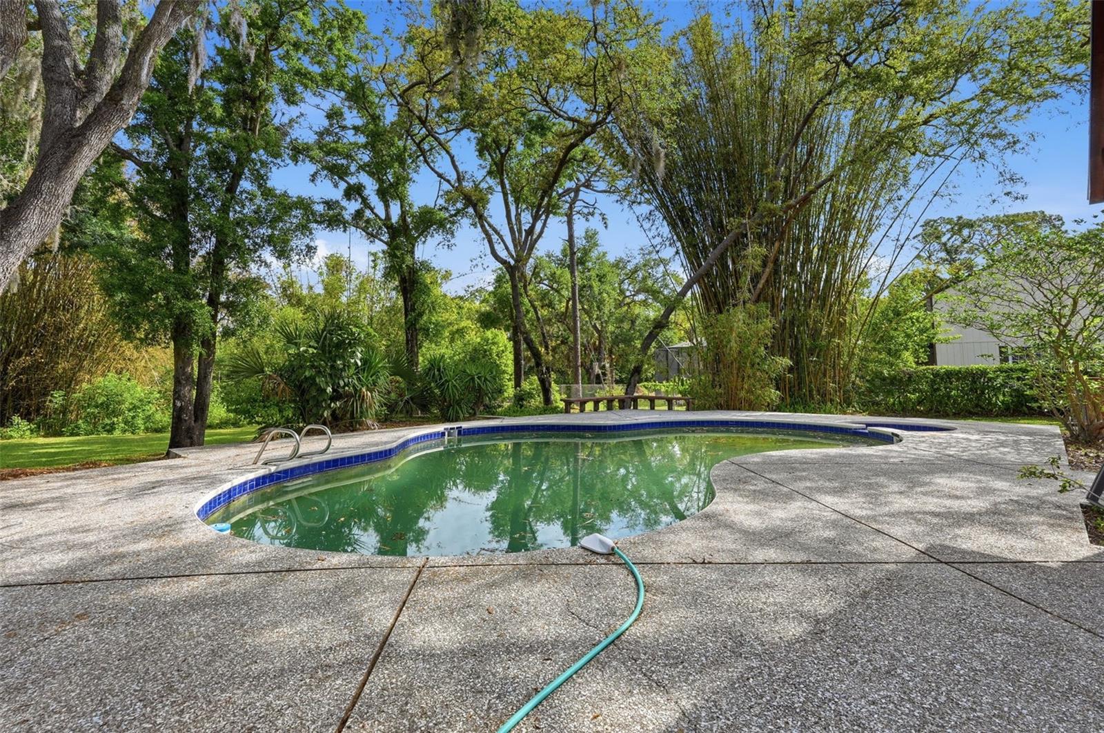 1840 SALEM CT, DUNEDIN, FL — photo 59
