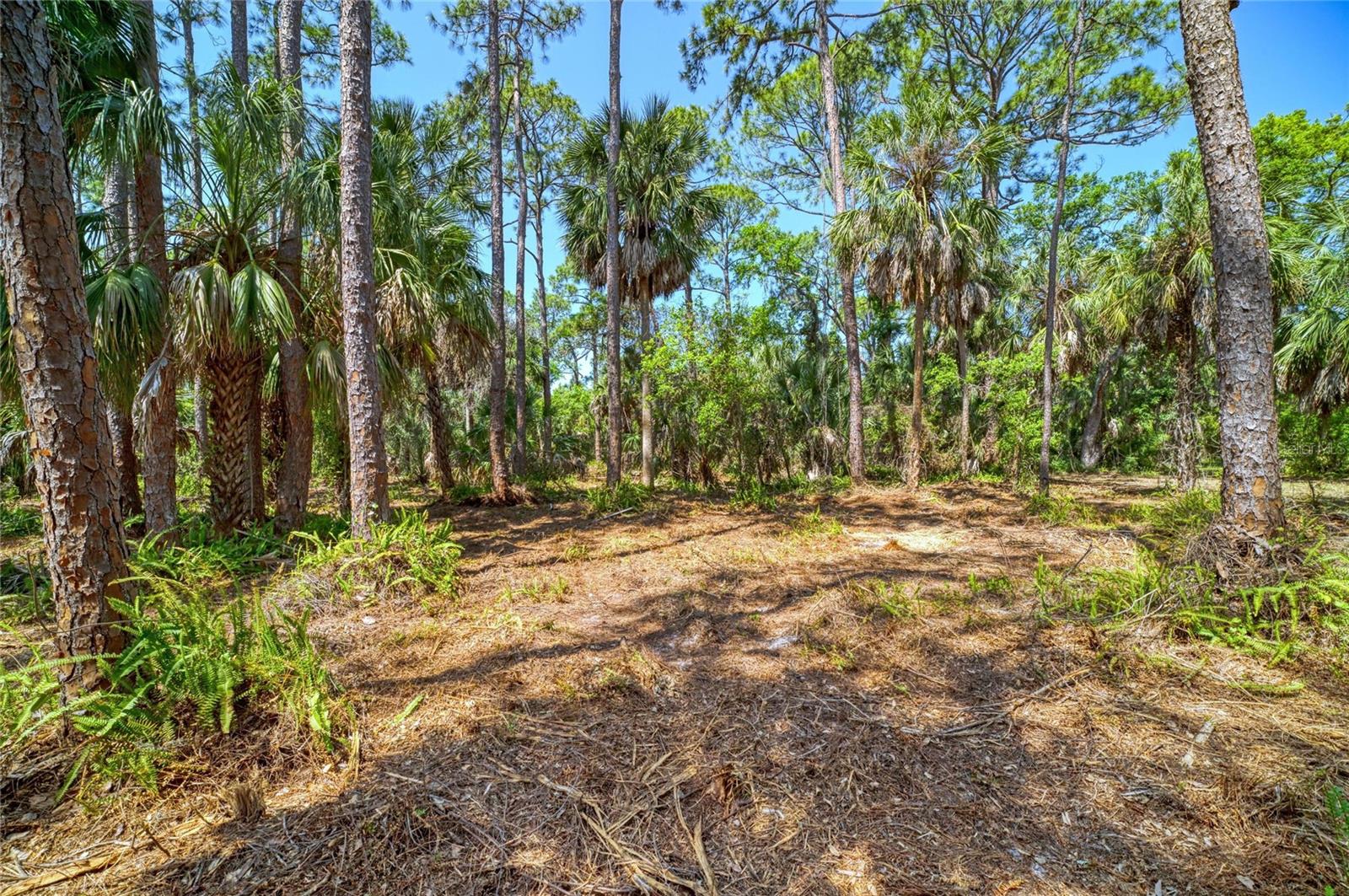 3612 57TH ST E, BRADENTON, FL — photo 11