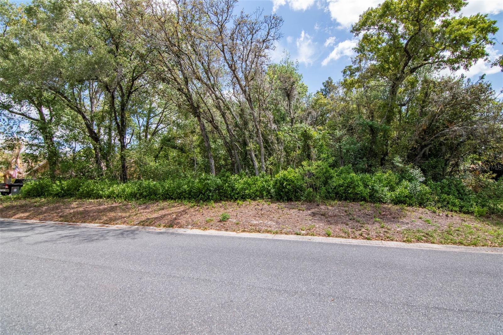 Lot 111 WINDING OAKS BLVD, HUDSON, FL — photo 4