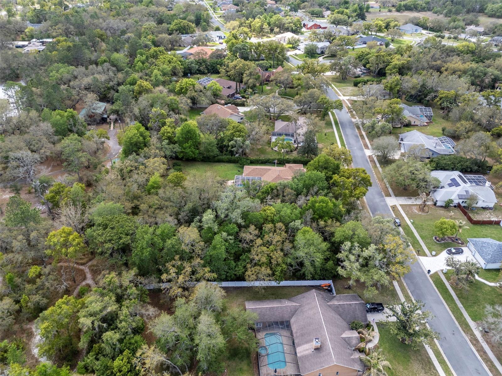 Lot 111 WINDING OAKS BLVD, HUDSON, FL — photo 8