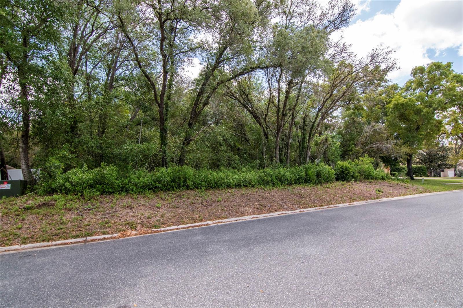 Lot 111 WINDING OAKS BLVD, HUDSON, FL — photo 13