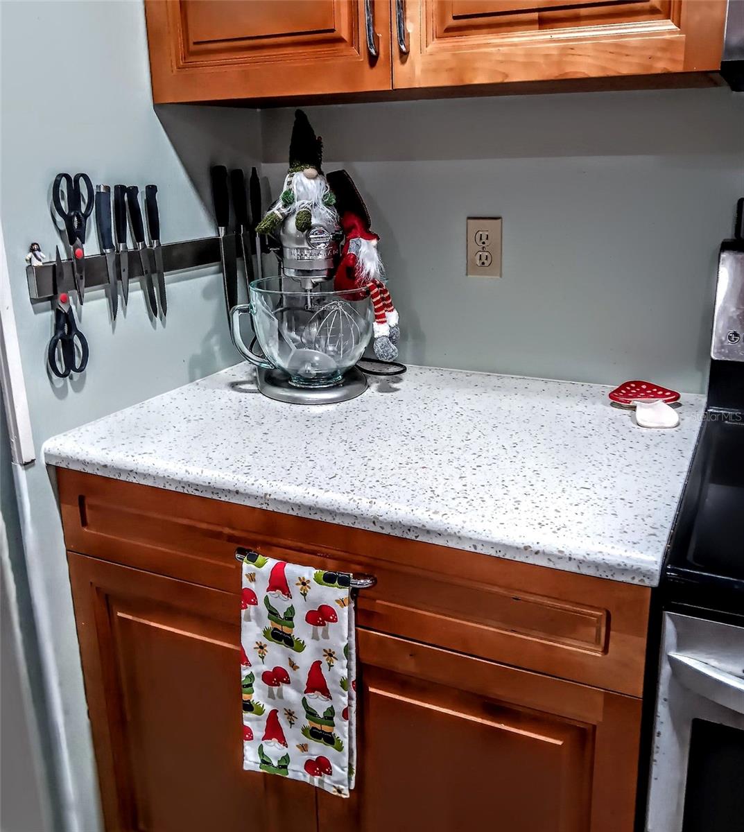 103 ROYAL PALM DR, LEESBURG, FL — photo 223