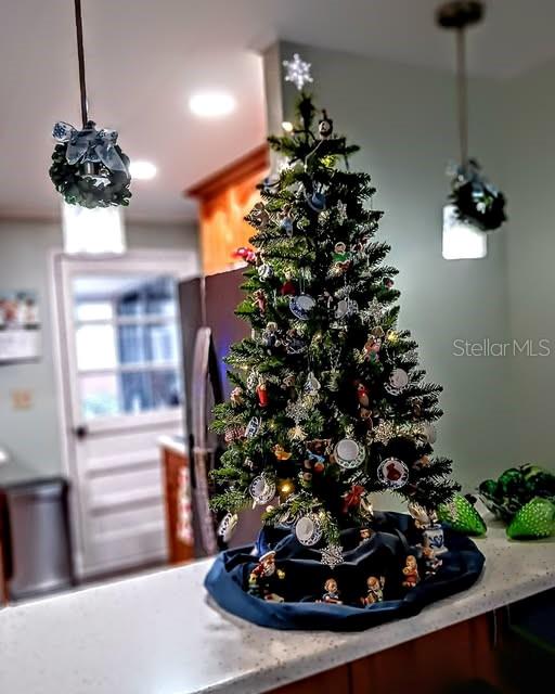 103 ROYAL PALM DR, LEESBURG, FL — photo 233