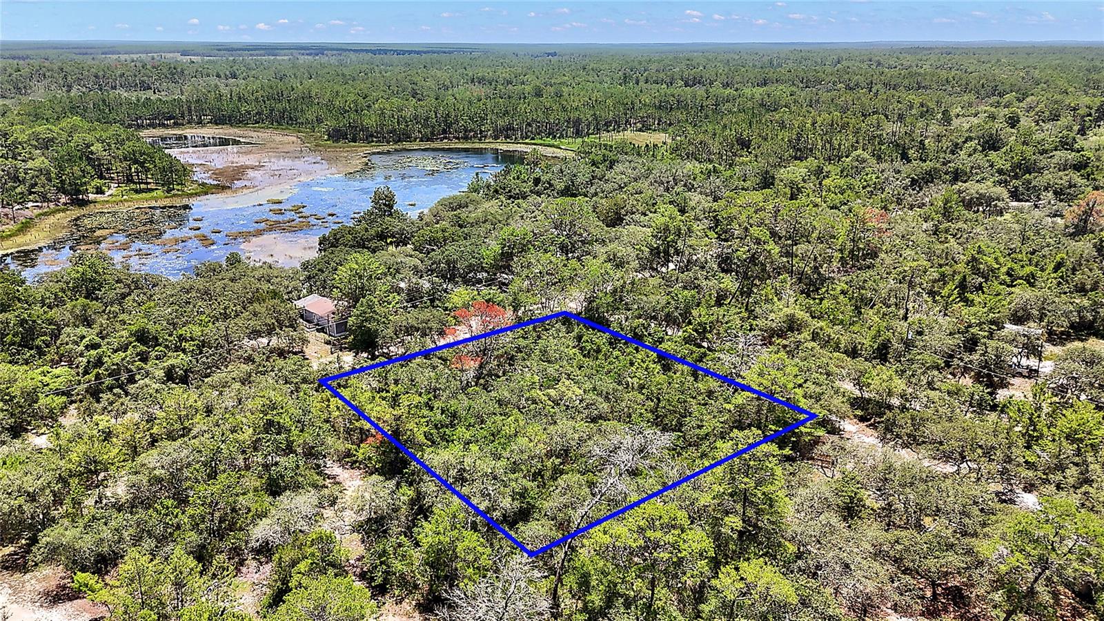 0 SE 197TH AVE, OCKLAWAHA, FL