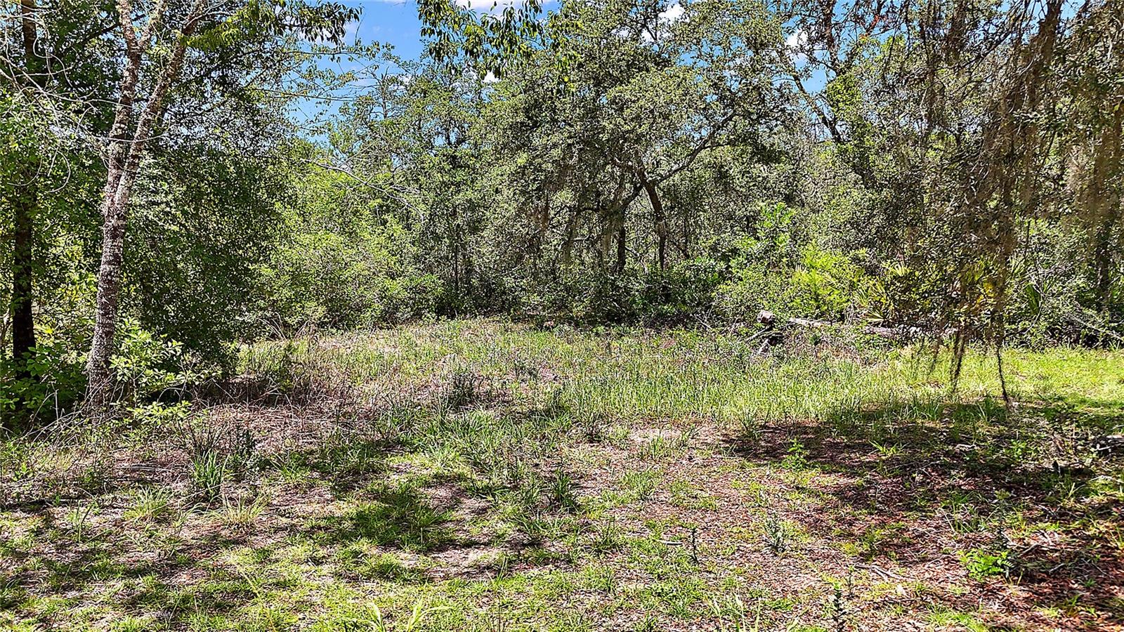 0 SE 197TH AVE, OCKLAWAHA, FL — photo 2