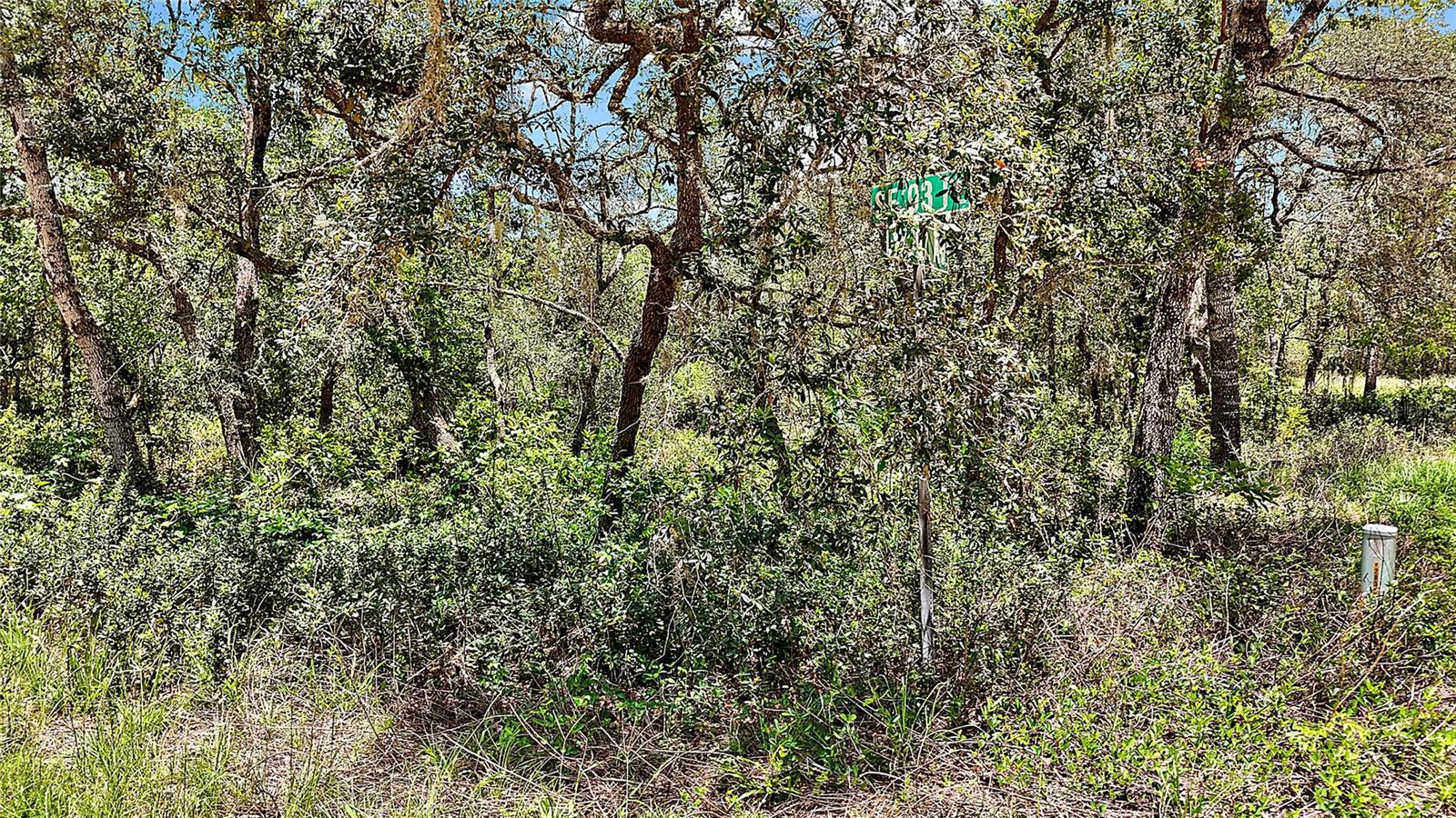 0 SE 197TH AVE, OCKLAWAHA, FL — photo 4
