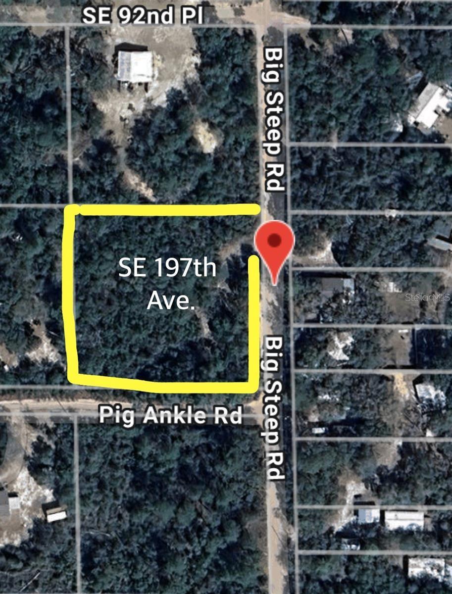 0 SE 197TH AVE, OCKLAWAHA, FL — photo 5