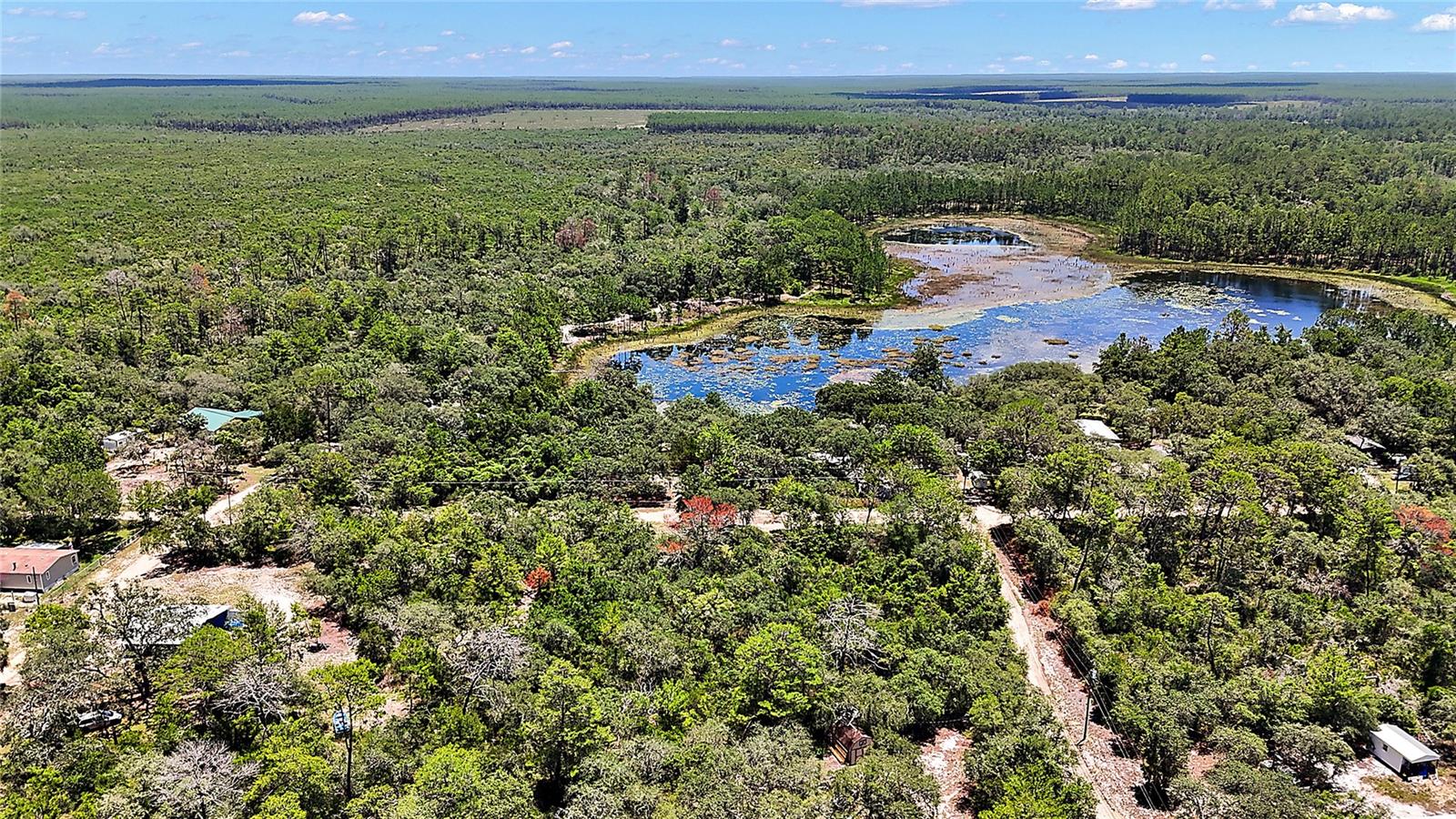 0 SE 197TH AVE, OCKLAWAHA, FL — photo 6